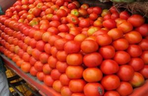 रसोई पर मार : पंजाब में पेट्रोल से महंगा हुआ टमाटर, 140 रुपए किलो बिक रहा, अदरक 300 रुपए के पार हुआ, पढ़ें