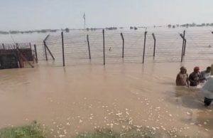 बाढ़ के पानी से डूब सकता है पूरा फिरोजपुर जिला, हुसैनीवाला हेड के गेट खुलवाए, प्रशासन सतर्क, पढ़ें