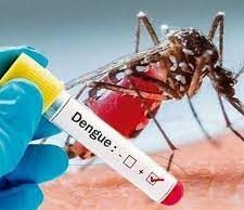 क्यों हर साल आ जाता है डेंगू और फिर शुरू हो जाता है अस्पतालों में भीड़ और मौत का तांडव!