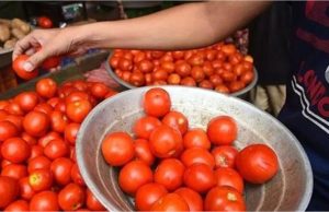 Tomato Price: टमाटर की कीमतों को लेकर आया नया अपडेट…प्यूरी की मांग में तेजी