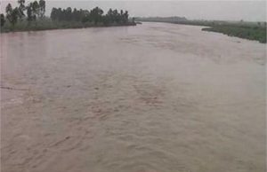 Punjab News: सतलुज दरिया में बही डेढ़ साल की मासूम, तलाश में जुटी पुलिस