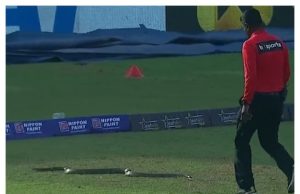 Sports: जब सांप ने रोका क्रिकेट मैच, खिलाड़ी सहमे तो सामने आए फोर्थ अंपायर, फिर हुआ कुछ ऐसा कि थम गई सांसें…