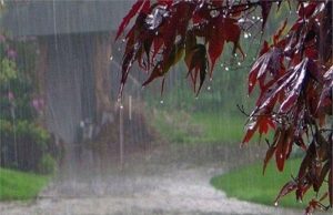 Punjab Weather: Patiala, Ropar और Chandigarh में बरसा मानसून, इन जिलों में भी भारी बारिश की संभावना