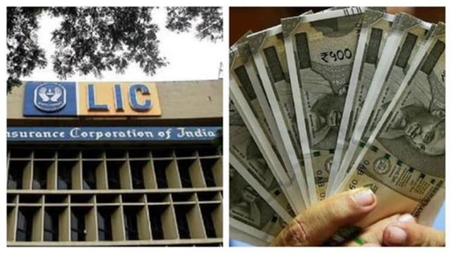 2024_8image_13_25_06428595065756-ll (1)