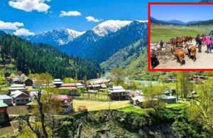 Pahalgam हमले के बाद 48 रिसॉर्ट और पर्यटक स्थल बंद, सरकार का बड़ा फैसला