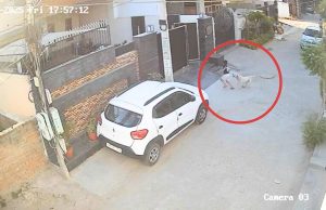 Jalandhar: आवारा कुत्तों का आतंक… 6 साल के मासूम बच्चे को काटा, घटना CCTV में कैद