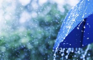 Punjab Weather Update: बारिश-तूफान का ऑरेंज अलर्ट… उमस से मिलेगी राहत, मौसम विभाग ने जारी की चेतावनी