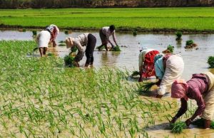 किसानों की सहायता के लिए सरकार चला रही ये खास योजनाएं, जानिए कैसे लें लाभ