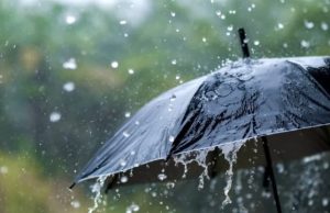 Punjab में आज से अगले दो दिनों तक भारी बारिश के लिए येलो अलर्ट जारी किया गया है