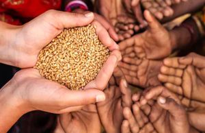 पंजाब में लाखों राशन कार्ड धारकों के लिए बड़ी खबर, केंद्र सरकार ने दिए निर्देश