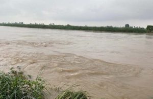 Punjab Weather : पंजाब में भारी बारिश का अलर्ट, कई जिलों में बाढ़ का खतरा, CM Mann करेंगे दौरा