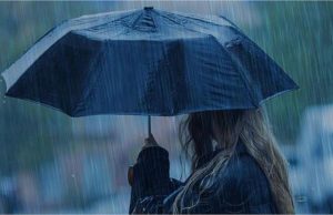 Punjab में 2-3 फरवरी को होगी बारिश, मौसम को लेकर आ गई नई Update