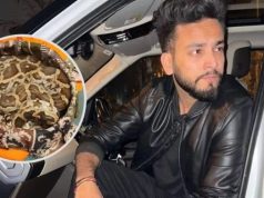 सांप के जहर मामले में यूट्यूबर एल्विश यादव को बड़ी राहत, Supreme Court ने खत्म किया केस