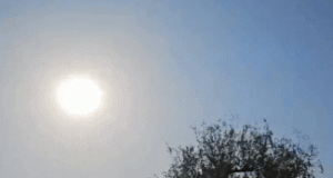 Punjab-Chandigarh में आज मौसम ड्राई रहेगा:सुबह-शाम ठंड बढ़ी, तापमान सामान्य से नीचे