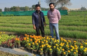 ਕਿਸਾਨਾਂ ਲਈ ਮਿਸਾਲ ਬਣੇ ਇੰਜੀਨੀਅਰ ਭਰਾ