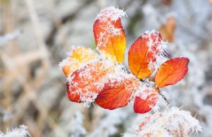 ਪੰਜਾਬ ਵਾਸੀਆਂ ਲਈ ਵੱਡੇ ਖ਼ਤਰੇ ਦੀ ਘੰਟੀ!!