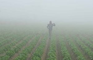 ਪੰਜਾਬ ‘ਚ ਅਗਲੇ 3 ਦਿਨ ਪਏਗੀ ਕੜਾਕੇ ਦੀ ਠੰਡ