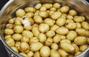 Potatoes: ਜੇਕਰ ਇੱਕ ਮਹੀਨੇ ਤੱਕ ਆਲੂ ਖਾਣਾ ਛੱਡ ਦਿਓ ਤਾਂ ਸਿਹਤ ‘ਤੇ ਪਵੇਗਾ ਕੀ ਅਸਰ? ਜਾਣੋ ਮਾਹਿਰਾਂ ਤੋਂ