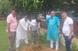 Punjab News: ਪੰਜਾਬ ‘ਚ ਦਰਖ਼ਤ ਲਾਉਣ ਦੇ ਟੁੱਟਣਗੇ ਰਿਕਾਰਡ ! ਜਾਣੋ ਕਿਵੇਂ