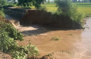 ਮਾਨਸਾ ਵਿੱਚ ਰਜਵਾਹੇ ਚ ਪਿਆ ਪਾੜ, 100 ਏਕੜ ਫਸਲ ਪਾਣੀ ਨਾਲ ਭਰੀ