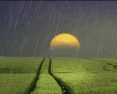 Punjab Weather: ਪੰਜਾਬ ਦੇ ਕਈ ਸ਼ਹਿਰਾਂ ’ਚ ਮੀਂਹ, ਚੰਡੀਗੜ੍ਹ ਸਮੇਤ ਸੂਬੇ ਦੇ 10 ਸ਼ਹਿਰਾਂ ‘ਚ ਫਲੈਸ਼ ਅਲਰਟ