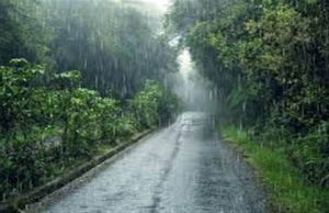 Punjab Weather Update: ਪੰਜਾਬ ’ਚੋਂ ਵਿਦਾ ਹੋਇਆ ਮੌਨਸੂਨ, ਸੂਬੇ ਦੇ ਸੱਤ ਜ਼ਿਲ੍ਹਿਆਂ ’ਚ ਆਮ ਨਾਲੋਂ 40 ਤੋਂ 59 ਫੀਸਦੀ ਘੱਟ ਪਿਆ ਮੀਂਹ