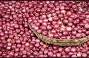 ਆਮ ਲੋਕਾਂ ਨੂੰ ਰਾਹਤ ! ਪੰਜਾਬ ਦੀ ਇਸ ਸਬਜ਼ੀ ਮੰਡੀ ‘ਚ 35 ਰੁਪਏ ਕਿਲੋ ਦੇ ਹਿਸਾਬ ਨਾਲ ਮਿਲੇਗਾ ਪਿਆਜ਼