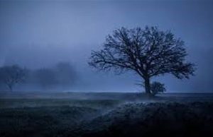 Punjab Weather Update: ਰਾਤਾਂ ਹੋਣ ਲੱਗੀਆਂ ਠੰਢੀਆਂ, 16 ਡਿਗਰੀ ਹੋਇਆ ਇਨ੍ਹਾਂ ਜ਼ਿਲ੍ਹਿਆਂ ’ਚ ਤਾਪਮਾਨ