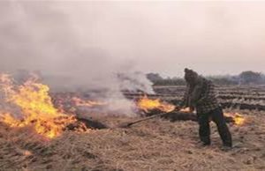 Punjab ਤੇ Haryana ‘ਚ ਸੜਨੀ ਸ਼ੁਰੂ ਹੋਈ ਪਰਾਲੀ, Chandigarh ਤੋਂ ਦਿੱਲੀ ਤਕ AQI ਅਗਲੇ ਹਫਤੇ ਤਕ 200 ਨੂੰ ਕਰ ਜਾਵੇਗਾ ਪਾਰ