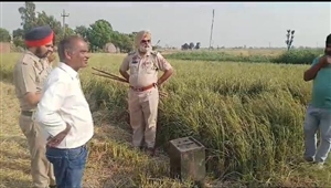 ਪਟਿਆਲਾ ਦੇ ਹਲਕਾ ਸਨੋਹ ‘ਚ ਹੋਈ ਬੂਥ ਕੈਪਚਰਿੰਗ, ਗੋਲ਼ੀ ਚੱਲਣ ਨਾਲ ਨੌਜਵਾਨ ਜ਼ਖਮੀ, ਖੇਤਾਂ ‘ਚੋਂ ਮਿਲਿਆ ਬੈਲਟ ਬੈਕਸ