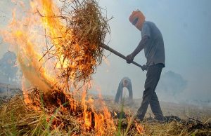 ਪੰਜਾਬ ‘ਚ ਪਰਾਲੀ ਨੂੰ ਅੱਗ ਲੱਗਣ ਦਾ ਸਿਲਸਿਲਾ ਲਗਾਤਾਰ ਜਾਰੀ , 65 ਥਾਈਂ ਸੜੀ ਪਰਾਲੀ, 1510 ਤੱਕ ਪੁੱਜੇ ਕੁੱਲ ਮਾਮਲੇ