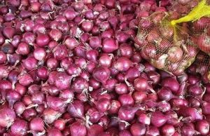 ਜਲੰਧਰ ‘ਚ ਅੱਜ ਮਿਲਣਗੇ ਸਸਤੇ ਪਿਆਜ਼, ਵਿਖਾਉਣਾ ਹੋਵੇਗਾ ਆਧਾਰ ਕਾਰਡ, ਵੱਧਦੀਆਂ ਕੀਮਤਾਂ ਦੇ ਮੱਦੇਨਜ਼ਰ ਸਰਕਾਰ ਦਾ ਫੈਸਲਾ