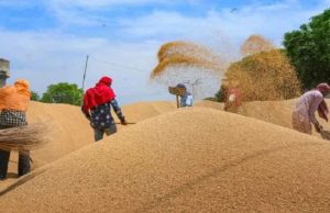 High Cour ਦੀ ਸਖ਼ਤੀ, Action Mode‘ਚ ਸਰਕਾਰ, ਖਰੀਦ ਏਜੰਸੀਆਂ ਨੂੰ ਲਿਖਿਆ ਪੱਤਰ