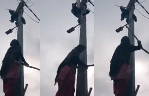 ਡੰਡਾ ਲੈ ਕੇ ਖੰਭੇ ‘ਤੇ ਚੜ੍ਹੀ ਔਰਤ, ਪੁੱਛਿਆ- ਬਿੱਲ ਜਮ੍ਹਾ ਹੋ ਗਿਆ, ਫਿਰ ਲਾਈਨ ਕਿਉਂ ਕੱਟੀ? ਲਾਈਨਮੈਨ ਨੇ ਕੀਤੀਆਂ ਮਿੰਨਤਾਂ