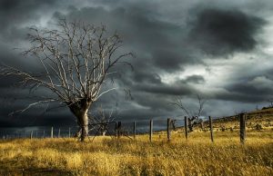 Punjab-Chandigarh ‘ਚ ਮੀਂਹ ਪੈਣ ਦੀ ਸੰਭਾਵਨਾ, ਠੰਡ ਵਧੇਗੀ