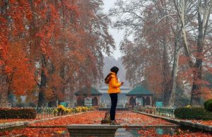 ਕਸ਼ਮੀਰ ਵਿੱਚ ਜੀਓ ਟੈਗਿੰਗ ਚਿਨਾਰਾਂ ਨੂੰ ਕਿਵੇਂ ਬਚਾਏਗੀ? ਜਾਣੋ ਇਸਦੇ ਫਾਇਦੇ