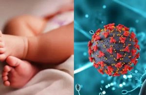 ਭਾਰਤ ‘ਚ HMPV Virus ਦਾ ਤੀਜਾ ਕੇਸ, Ahmedabad ‘ਚ 2 ਮਹੀਨੇ ਦਾ ਬੱਚਾ Positive