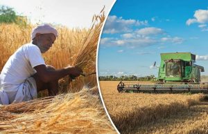 Budget-2025: ਬਜਟ ‘ਚ ਧਨ-ਧਾਨਿਆ ਯੋਜਨਾ ਦਾ ਐਲਾਨ, 1.7 ਕਰੋੜ ਕਿਸਾਨਾਂ ਨੂੰ ਹੋਵੇਗਾ ਫਾਇਦਾ