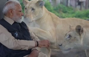 PM Modi ਨੇ ਗੁਜਰਾਤ ਦੇ ਵੰਤਾਰਾ Wildlife ਸੈਂਟਰ ਦਾ ਕੀਤਾ ਉਦਘਾਟਨ