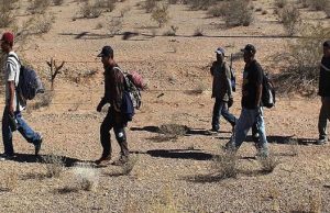 Jalandhar: ਡੰਕੀ ਰੂਟ ਵਾਲੇ ਏਜੰਟਾਂ ‘ਤੇ ED ਦੀ ਕਾਰਵਾਈ, ਪਾਸਪੋਰਟ ਤੇ ਡਿਜੀਟਲ ਡਿਵਾਈਸਾਂ ਬਰਾਮਦ