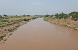 Sangrur ਚ ਘੱਗਰ ਨਦੀ ਦੇ ਪਾਣੀ ਦਾ ਪੱਧਰ 730 ਫੁੱਟ ਪਹੁੰਚਿਆ, ਖ਼ਤਰੇ ਦਾ ਨਿਸ਼ਾਨ 748 ਫੁੱਟ