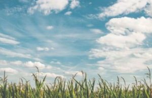 ਪੰਜਾਬ ‘ਚ ਅਗਲੇ 3 ਦਿਨ ਬਾਰਿਸ਼ ਦਾ ਕੋਈ ਅਲਰਟ ਨਹੀਂ, 21 ਜੁਲਾਈ ਤੋਂ ਬਦਲੇਗਾ ਮੌਸਮ