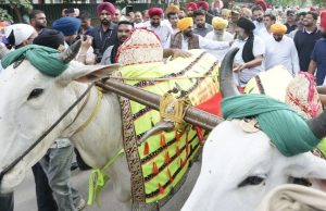 ਕਿਲਾ ਰਾਏਪੁਰ ਖੇਡਾਂ ‘ਚ ਬਲਦਾਂ ਦੀ ਦੌੜ ਨੂੰ ਹਰੀ ਝੰਡੀ! ਜਾਨਵਰਾਂ ਪ੍ਰਤੀ ਬੇਰਹਿਮੀ ਐਕਟ ‘ਚ ਸੋਧ, ਰਾਜਪਾਲ ਦੀ ਮੁਹਰ ਲੱਗਣੀ ਬਾਕੀ
