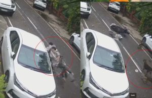 Ludhiana ‘ਚ ਅਵਾਰਾ ਕੁੱਤਿਆਂ ਦੀ ਦਹਿਸ਼ਤ, ਸਕੂਟੀ ਸਵਾਰ ਔਰਤਾਂ ‘ਤੇ ਕੀਤਾ ਹਮਲਾ, CCTV ‘ਚ ਕੈਦ ਹੋਈ ਵੀਡੀਓ