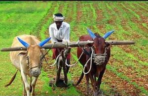 ਅੱਜ ਆ ਸਕਦੀ ਹੈ PM Kisan ਦੀ 20ਵੀਂ ਕਿਸ਼ਤ , ਇੰਝ ਚੈੱਕ ਕਰੋ ਆਪਣਾ ਸਟੇਟਸ