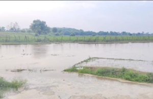 BSF ਪੋਸਟ ਨੇੜੇ ਪਹੁੰਚਿਆ ਪਾਣੀ, ਸਤਲੁਜ ਕਾਰਨ ਫਿਰੋਜਪੁਰ ਦੇ ਕਈ ਪਿੰਡ ਪ੍ਰਭਾਵਿਤ