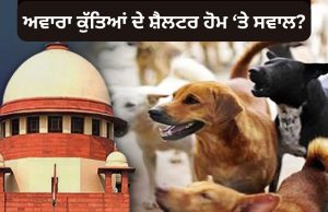 ਸੀਜੇਆਈ ਬੀਆਰ ਗਵਈ ਦੇਖਣਗੇ ਮਾਮਲਾ, ਸੁਪਰੀਮ ਕੋਰਟ ਦੇ 2 ਬੈਂਚਾਂ ਦੇ ਫੈਸਲੇ ‘ਤੇ ਹੋਵੇਗਾ ਵਿਚਾਰ