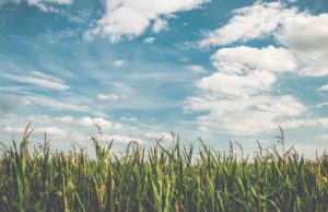 Punjab Weather: Punjab ਵਿੱਚ ਫਿਰ ਵਧ ਰਹੀ ਗਰਮੀ, ਤਾਪਮਾਨ 7 ਡਿਗਰੀ ਸੈਲਸੀਅਸ ਤੋਂ ਪਾਰ