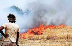 Punjab ‘ਚ ਰਾਤਾਂ ਗਰਮ ਤੇ ਦਿਨ ਦਾ ਤਾਪਮਾਨ ਆਮ ਦੇ ਕਰੀਬ, ਹੁਣ ਤੱਕ ਪਰਾਲੀ ਜਲਾਉਣ ਦੇ 75 ਮਾਮਲੇ ਦਰਜ