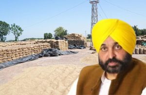 Punjab ‘ਚ ਅੱਜ ਤੋਂ ਝੋਨੇ ਦੀ ਖਰੀਦ ਸ਼ੁਰੂ, ਸੂਭੇ ਭਰ ‘ਚ 1822 ਕੇਂਦਰ ਕੀਤੇ ਗਏ ਸਥਾਪਤ, ਸੀਐਮ ਮਾਨ ਖੁਦ ਲੈਣਗੇ ਜਾਇਜ਼ਾ